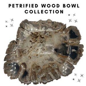 Petrified Wood Decorative Bowl